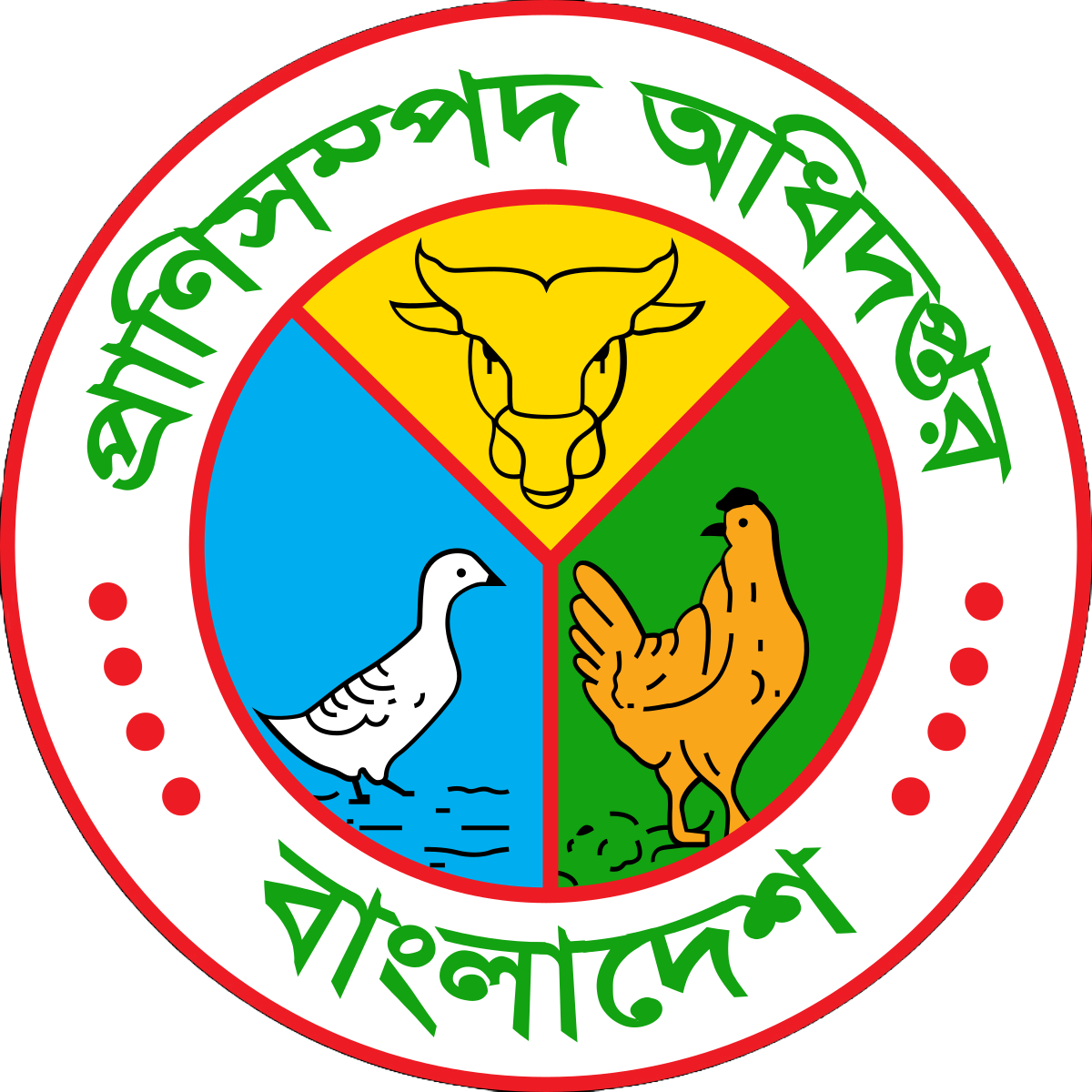 DLS Logo